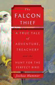 Falcon Thief