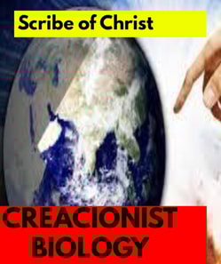 CREACIONIST BIOLOGY