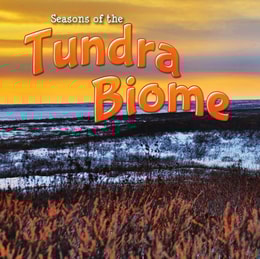 Seasons Of The Tundra Biome