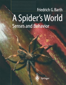 Spider's World