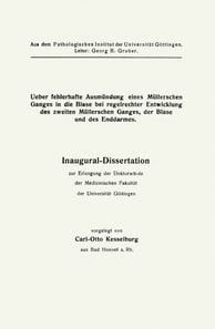 Virchows Archiv für Pathologische Anatomie und Physiologie und für Klinische Medizin