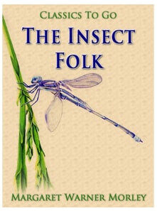 Insect Folk