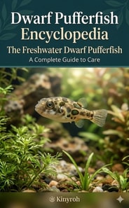 Dwarf Pufferfish Encyclopedia - A Complete Guide to Keeping the Freshwater Pea Puffer