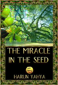 Miracle in the Seed