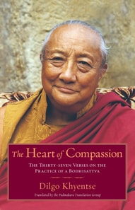 Heart of Compassion