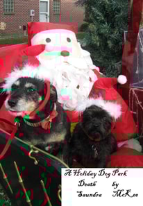 Holiday Dog Park Death