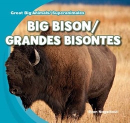 Big Bison / Grandes bisontes