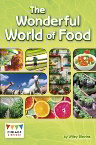 Wonderful World of Food