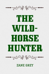 Wild-Horse Hunter