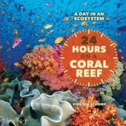 24 Hours on a Coral Reef