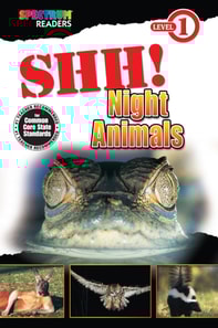Shh! Night Animals