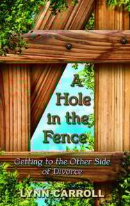 Hole in the Fence