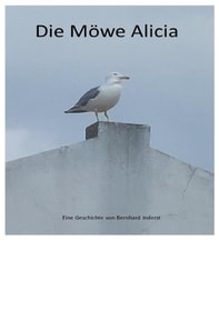 Die Möwe Alicia