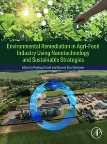 Environmental Remediation in Agri-Food Industry Using Nanotechnology and Sustainable Strategies