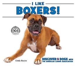 I Like Boxers!