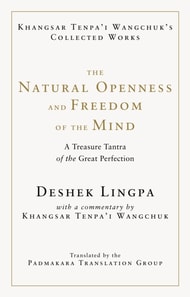 Natural Openness and Freedom of the Mind