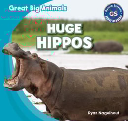 Huge Hippos