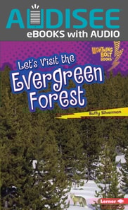 Let's Visit the Evergreen Forest