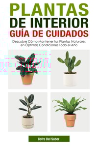 Plantas de Interior Guía de Cuidados: Descubre Cómo Mantener tus Plantas Naturales en Óptimas Condiciones Todo el Año