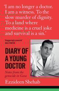Diary of a Young Doctor
