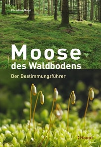 Moose des Waldbodens