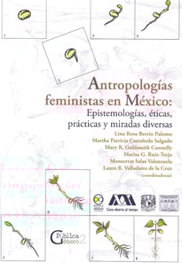 Antropologías feministas en México