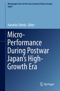 Micro-Performance During Postwar Japan's High-Growth Era