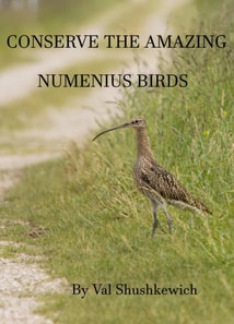 Conserve the Amazing Numenius Birds