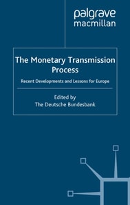Monetary Transmission Process
