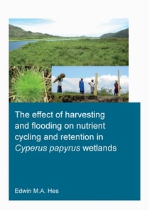 effect of harvesting and flooding on nutrient cycling and retention in Cyperus papyrus wetlands