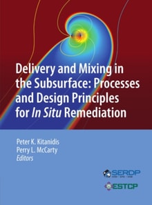 Delivery and Mixing in the Subsurface