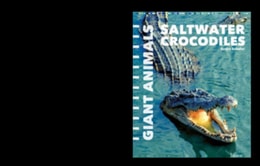 Saltwater Crocodiles