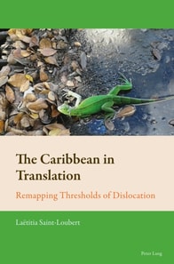 Caribbean in Translation