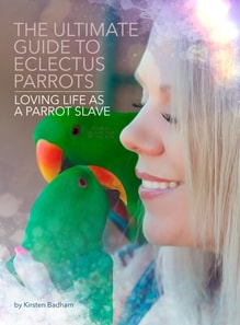 Ultimate Guide to Eclectus Parrots