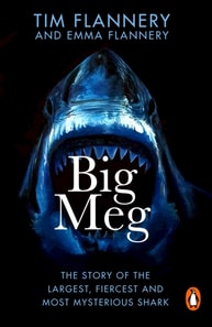 Big Meg