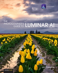 Photographer's Guide to Luminar AI