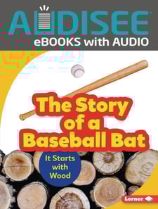 Story of a Baseball Bat