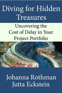Diving for Hidden Treasures: Uncovering the Cost of Delay in Your Project Portfoilo