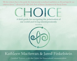 Choice: A field guide for navigating the polarization of our world and living interdependently, 2nd edition