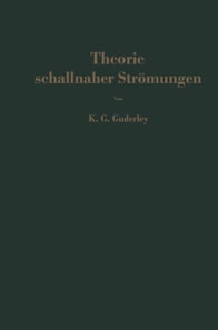 Theorie schallnaher Strömungen