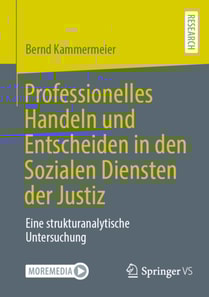 Professionelles Handeln und Entscheiden in den Sozialen Diensten der Justiz