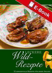 Leckere Wild-Rezepte