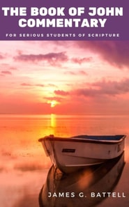 Book of John KJV Commentary