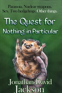 Quest for Nothing in Particular