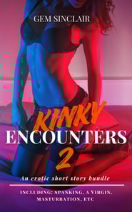 Kinky Encounters 2