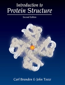Introduction to Protein Structure