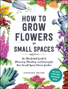 How to Grow Flowers in Small Spaces