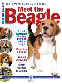 Meet the Beagle