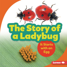 Story of a Ladybug
