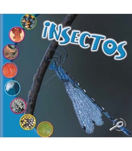 Insectos